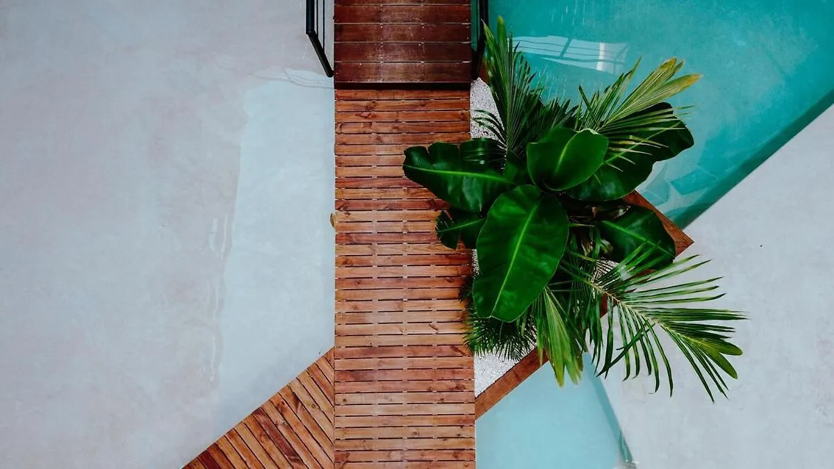 A Double-Height Apartment With A Private Pool Tulum Mexikó